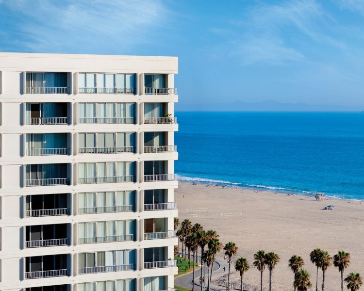 The Shores